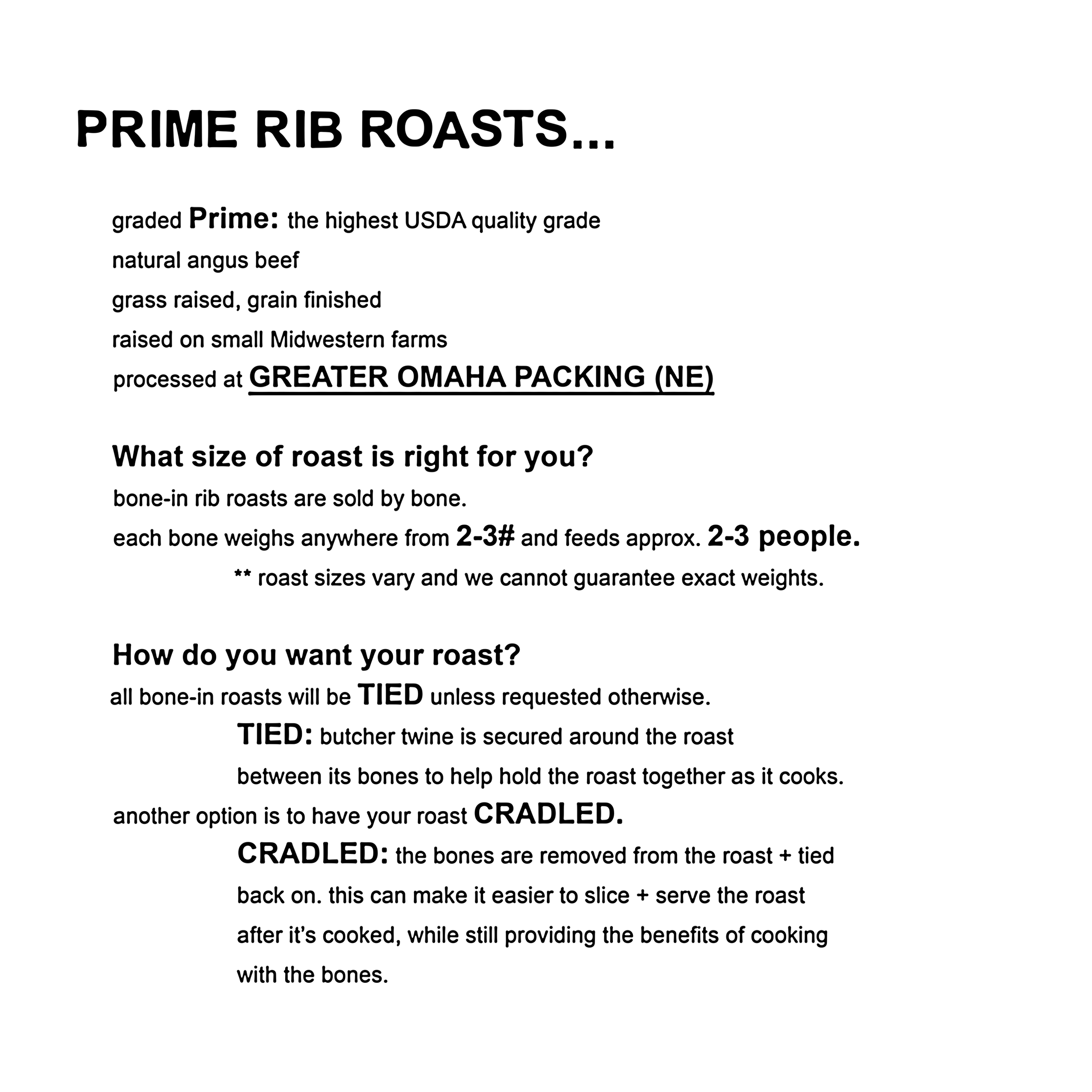 holiday square 3.png