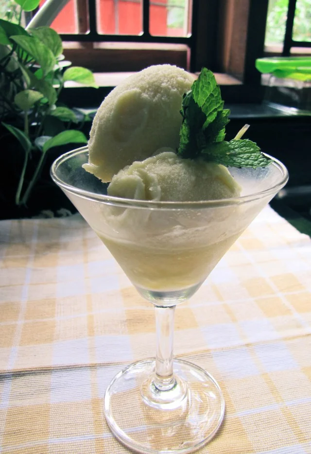 Pineapple and Mint Sorbet