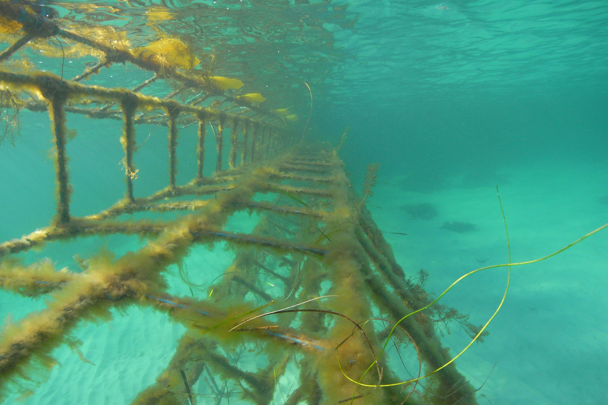 The Aquarius Barrier hinges at low tide