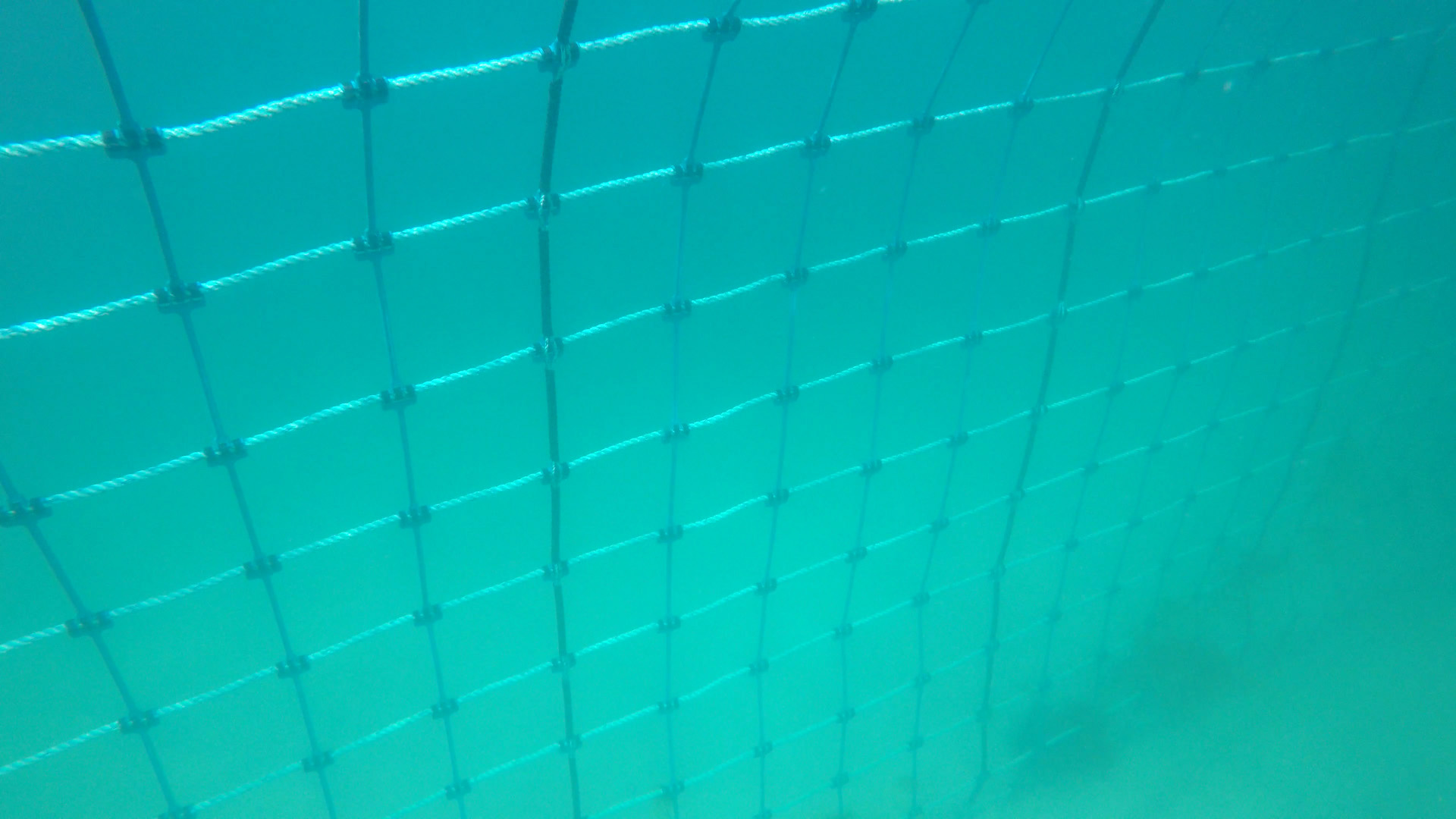 Quinns Beach Shark Barrier Underwater