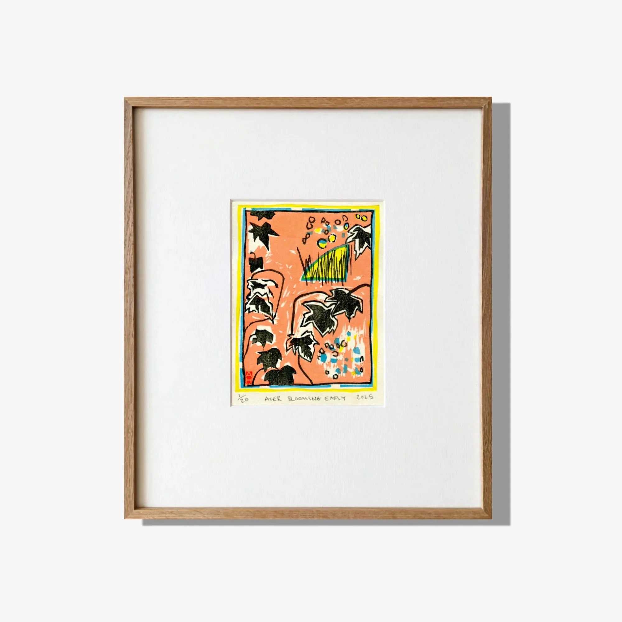 Acer Blooming Early.jpg