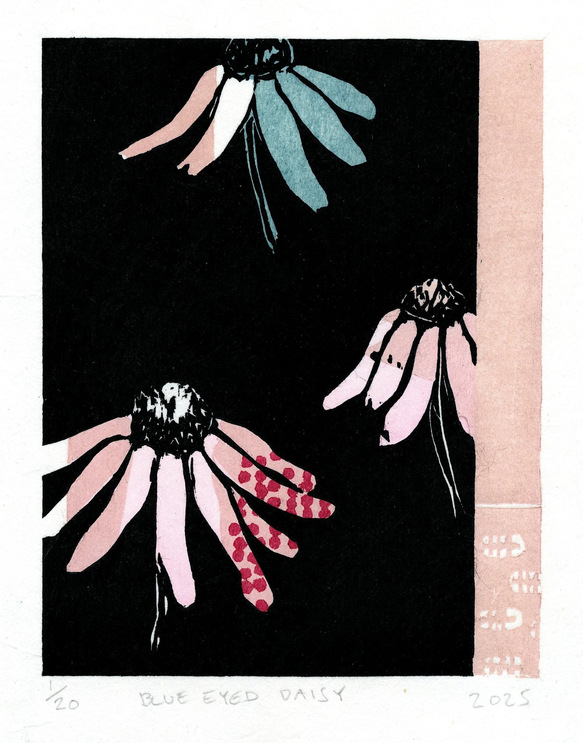 Blue Eyed Dasiy  Squarespace.jpg