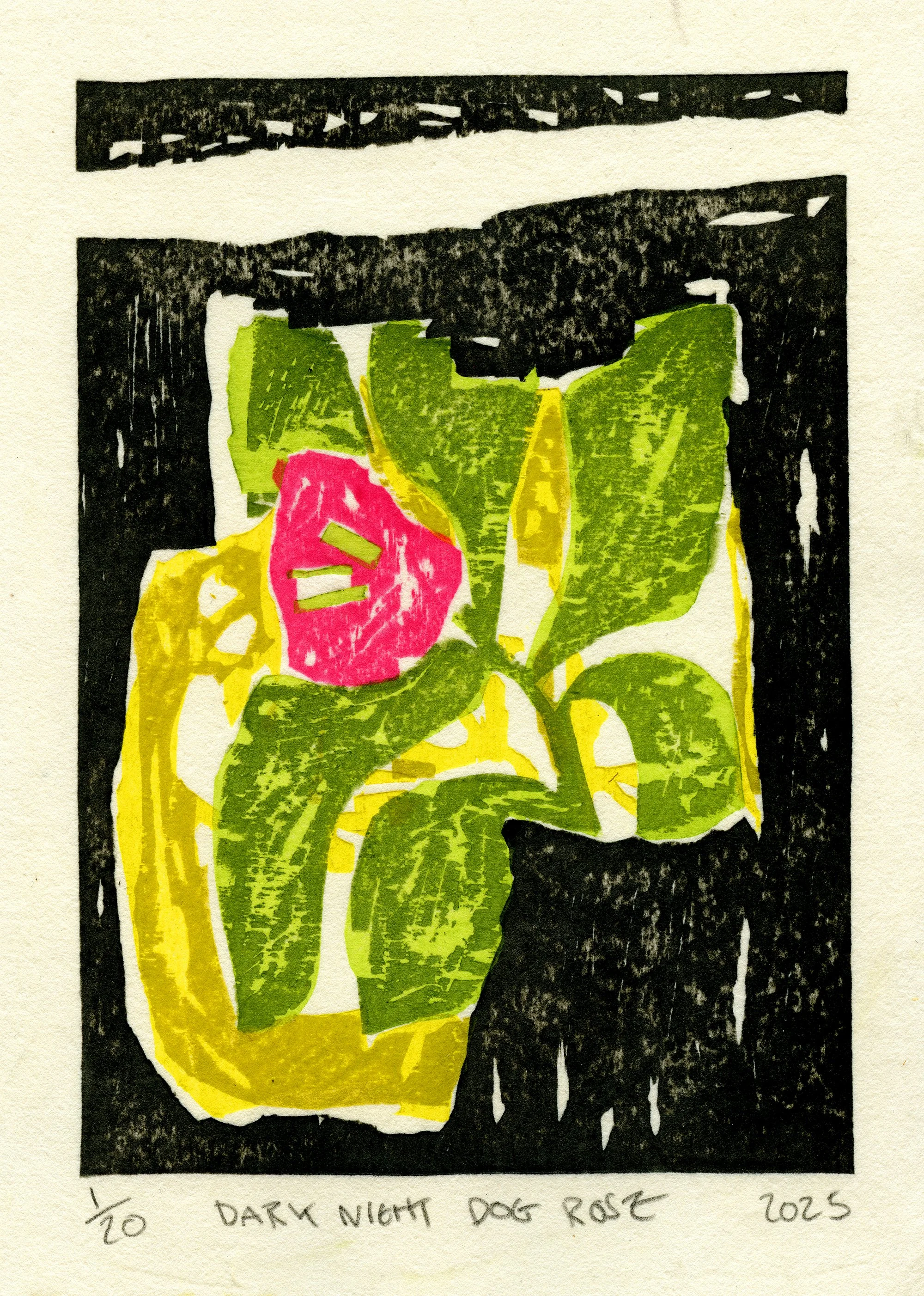 Dark Night Dog Rose squarespace.jpg