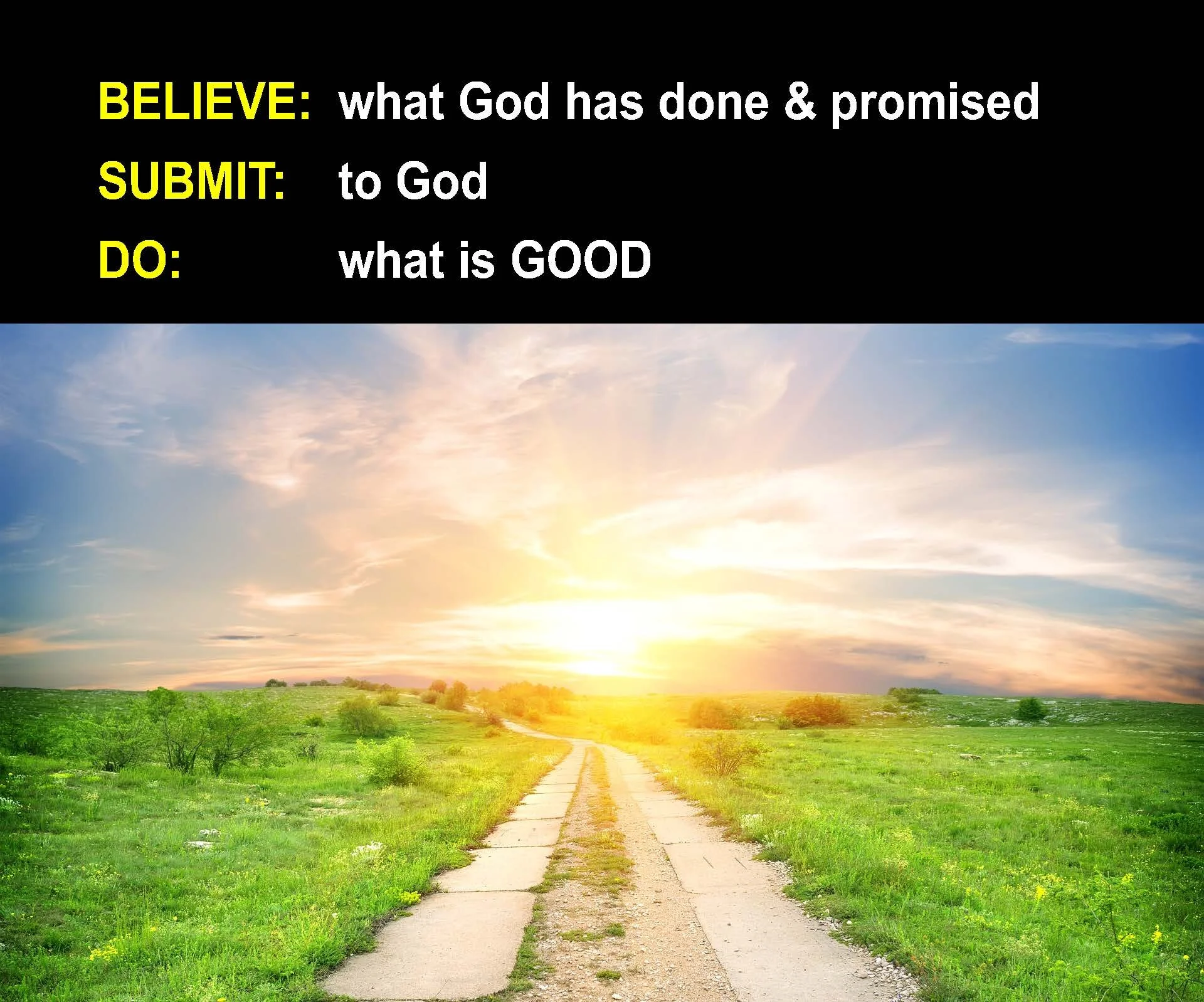 What Should We Be Doing Today_Page_14.jpg