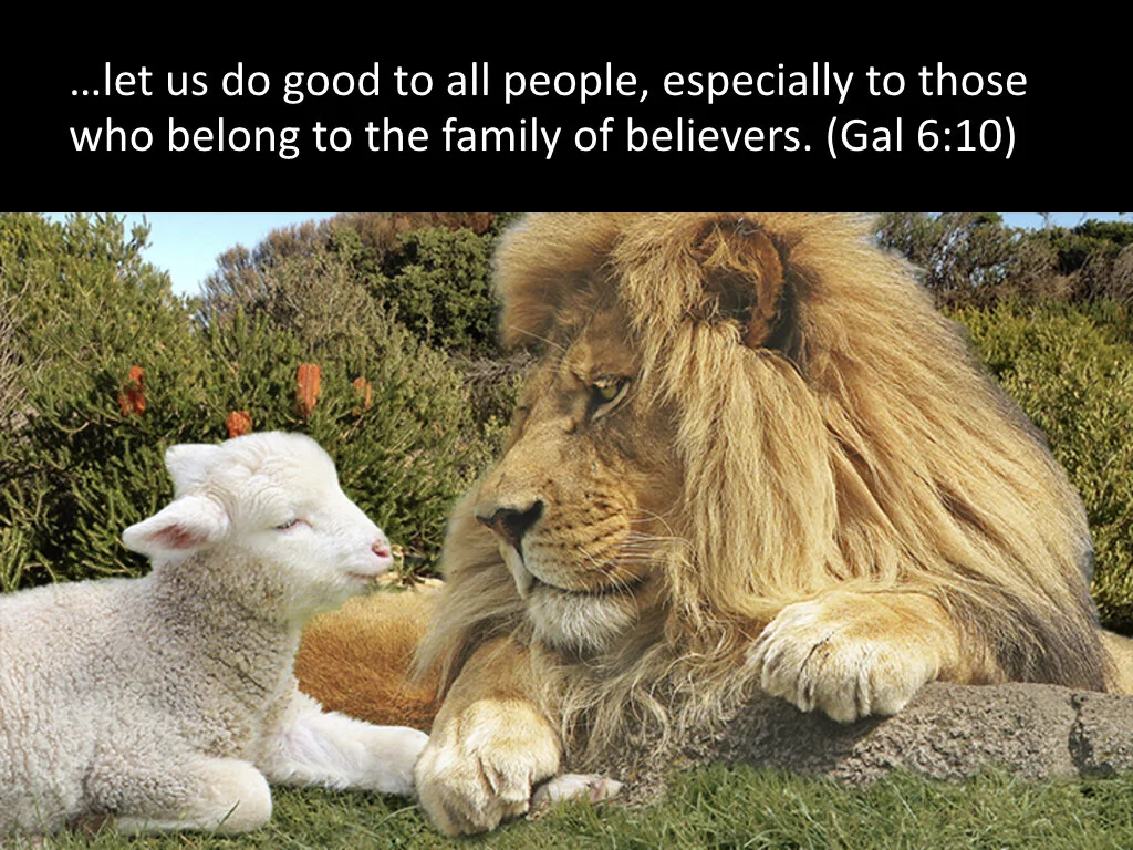 Do Good-To Who.017.jpeg