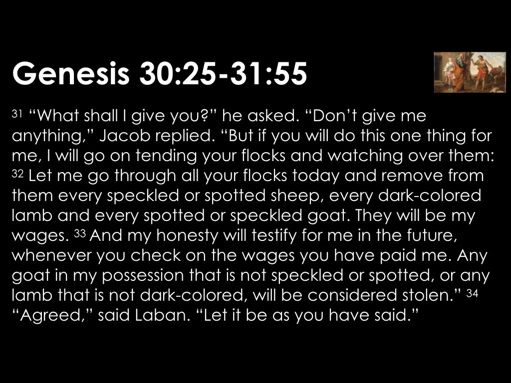 The Gains and Losses 2.029.jpeg