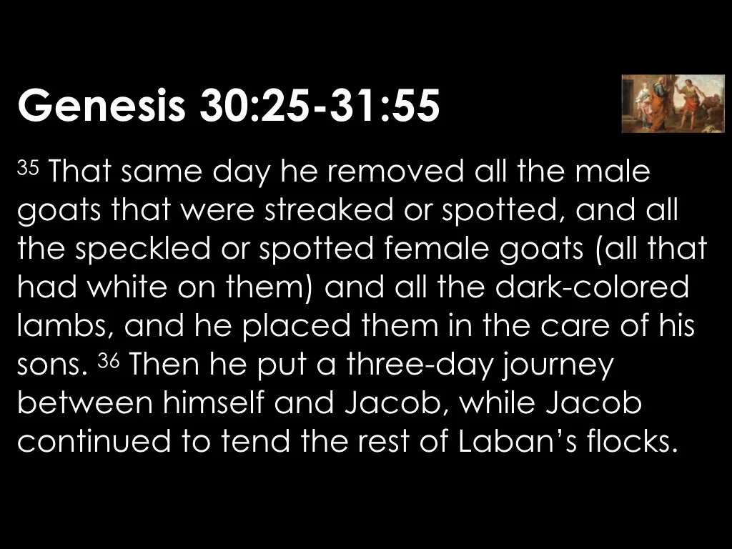 The Gains and Losses 2.030.jpeg