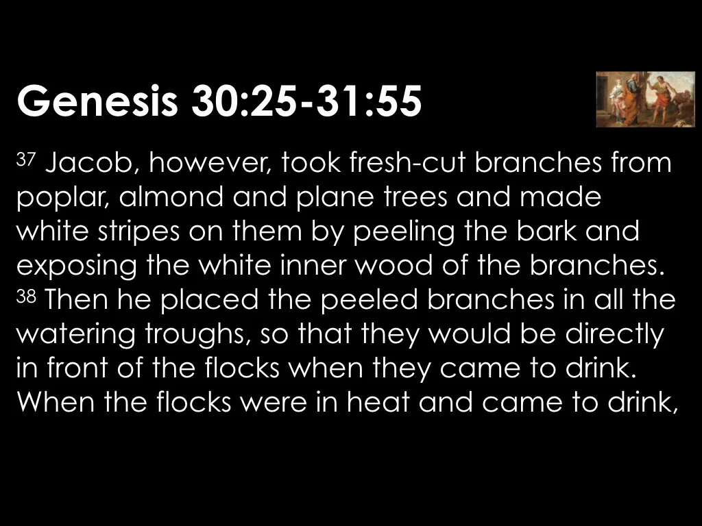 The Gains and Losses 2.031.jpeg