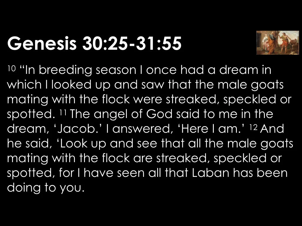 The Gains and Losses 2.037.jpeg