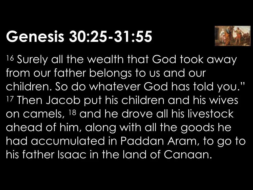 The Gains and Losses 2.039.jpeg