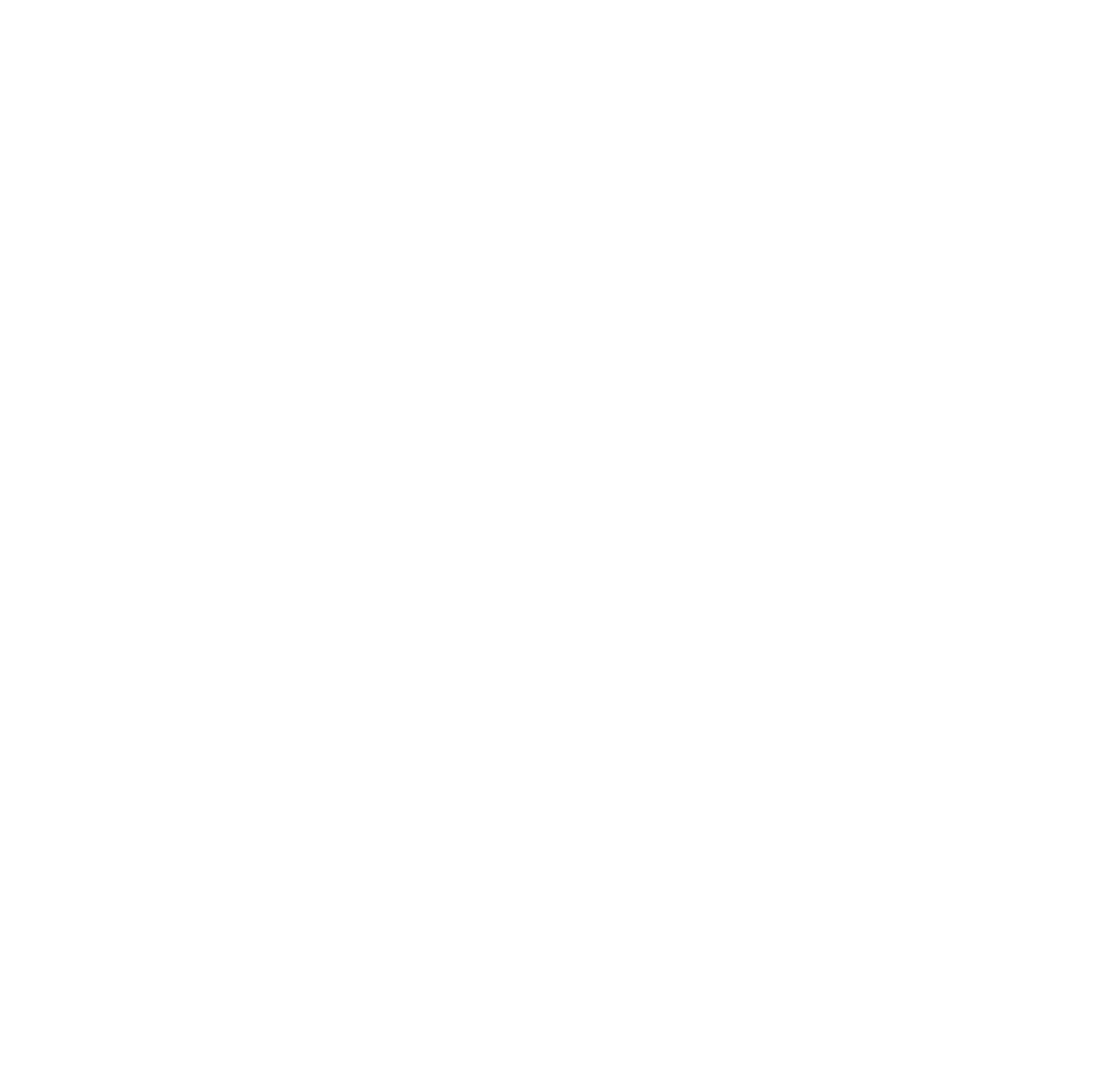logo-white (1).png