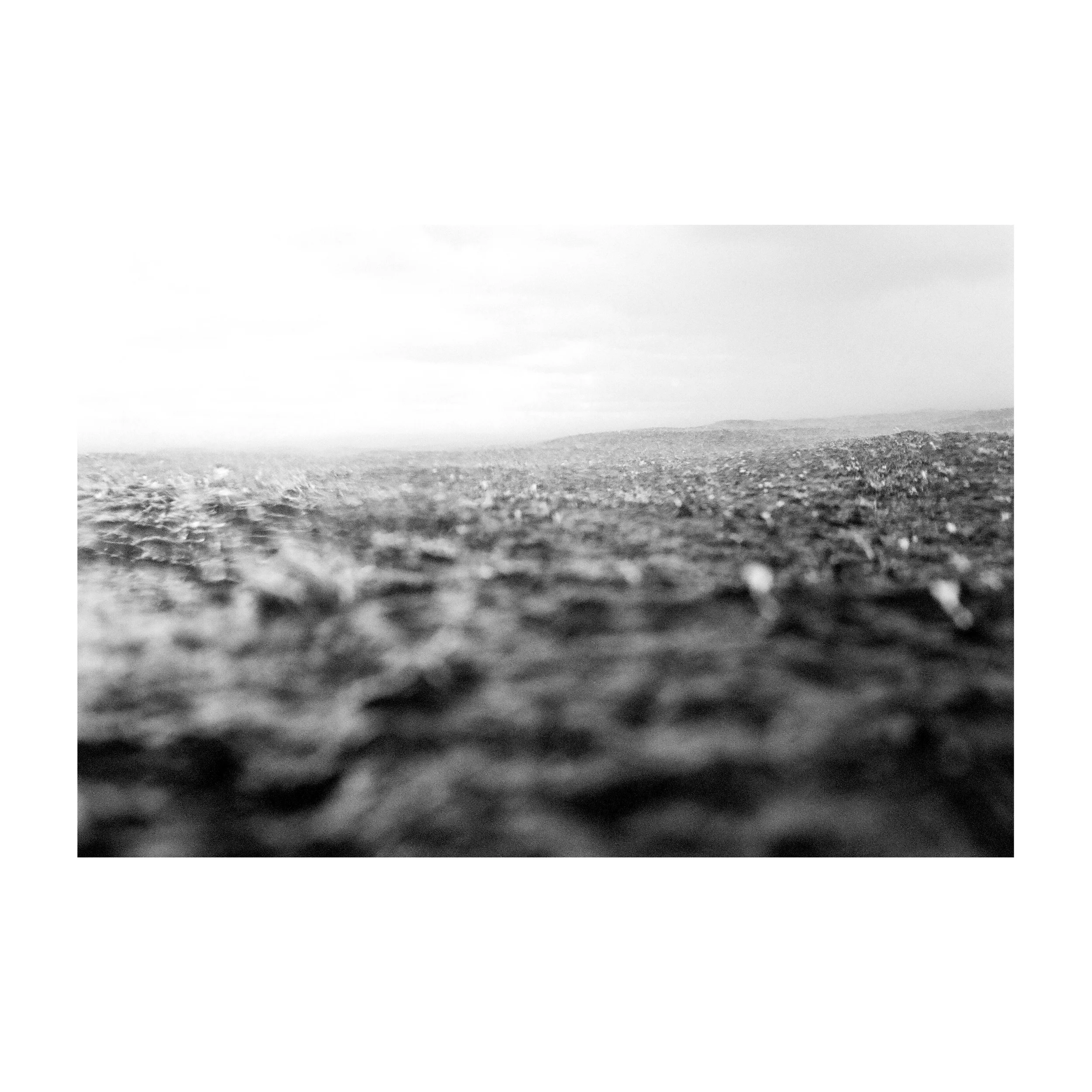 Untitled-9.jpg