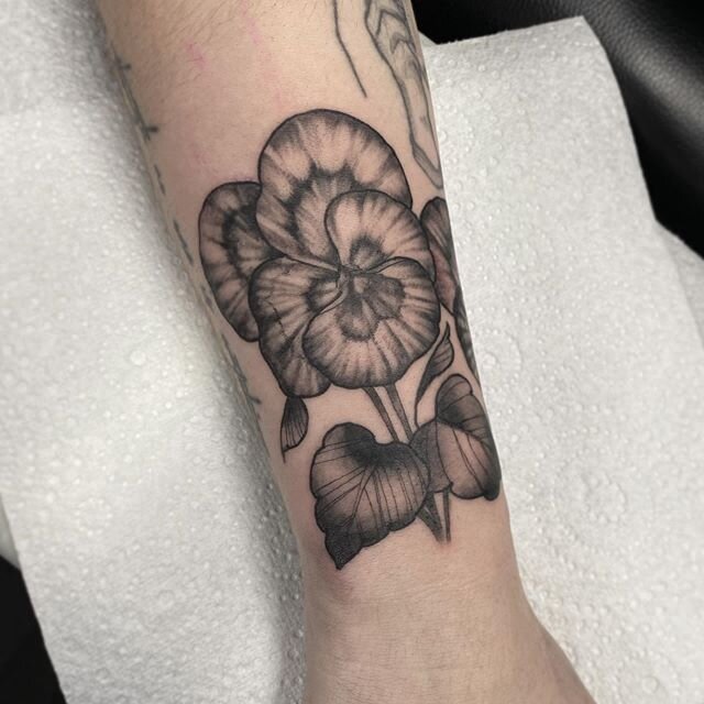 Pansies for Dee - by @feros_tattoo We are open! Bookings with the crew are building up and available now 7 days - Monday&rsquo;s to Sunday&rsquo;s ! Get in touch with your artist direct or inquire through us at the studio at lanternandsparrow@gmail.c