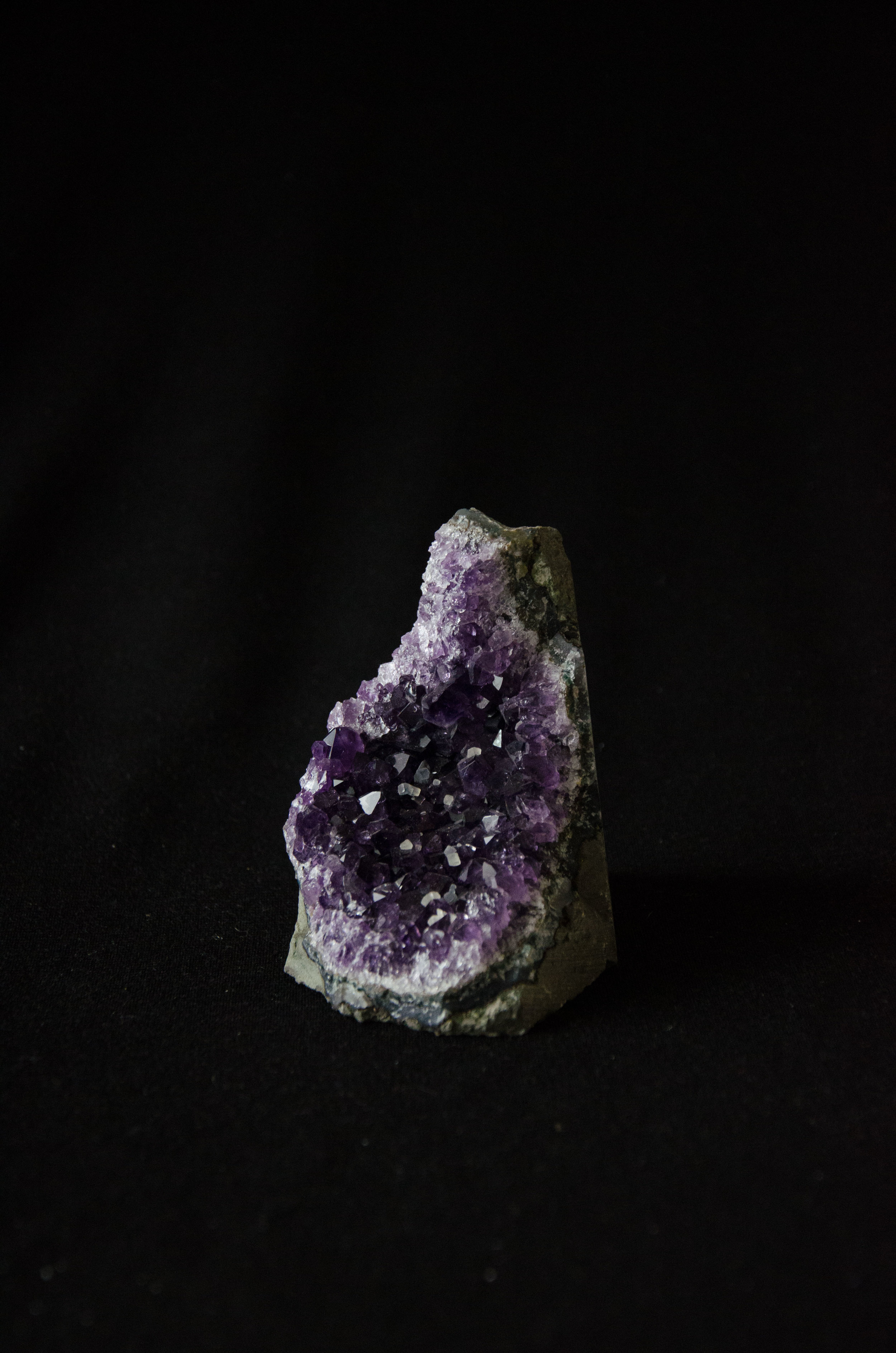 DSC_4571.jpg