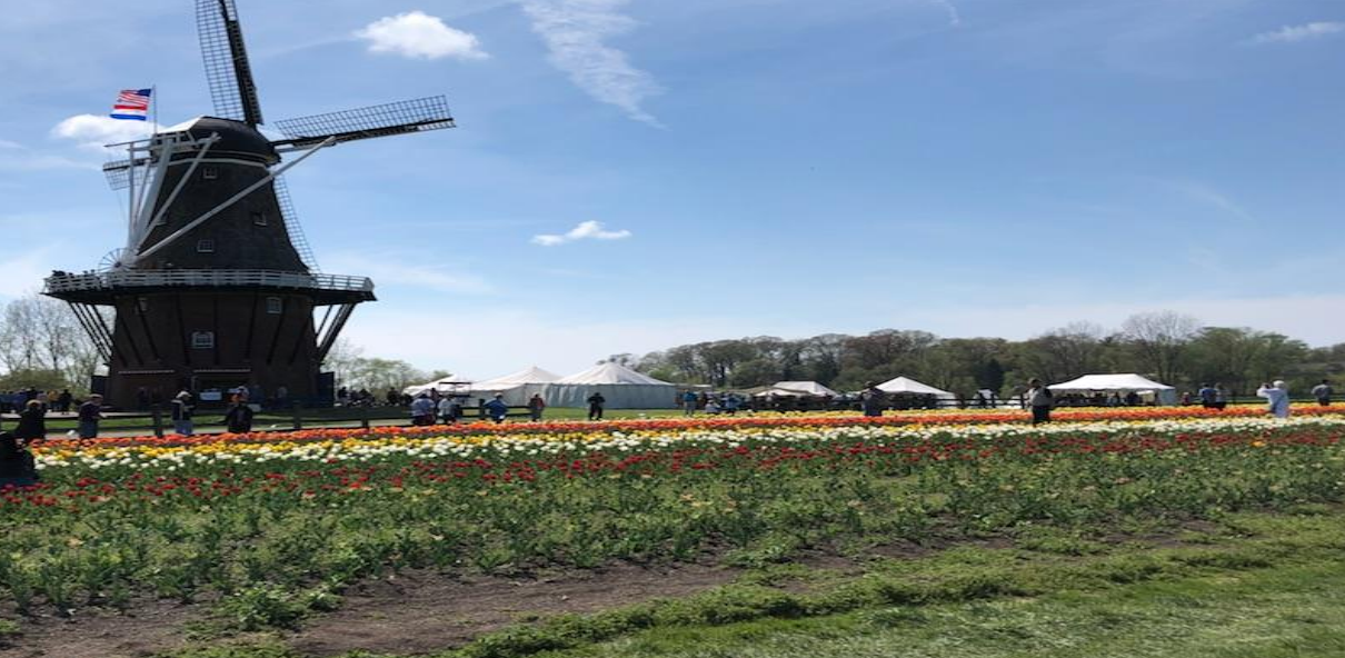 Holland Tulip Festival