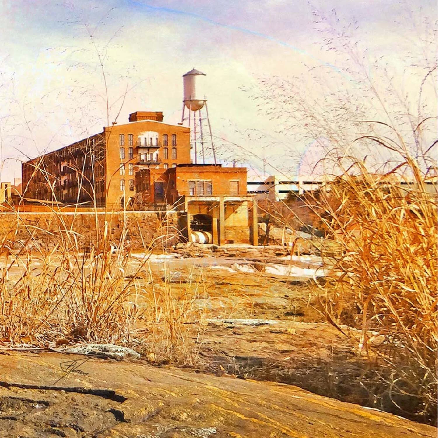 e&p-reeds.jpg