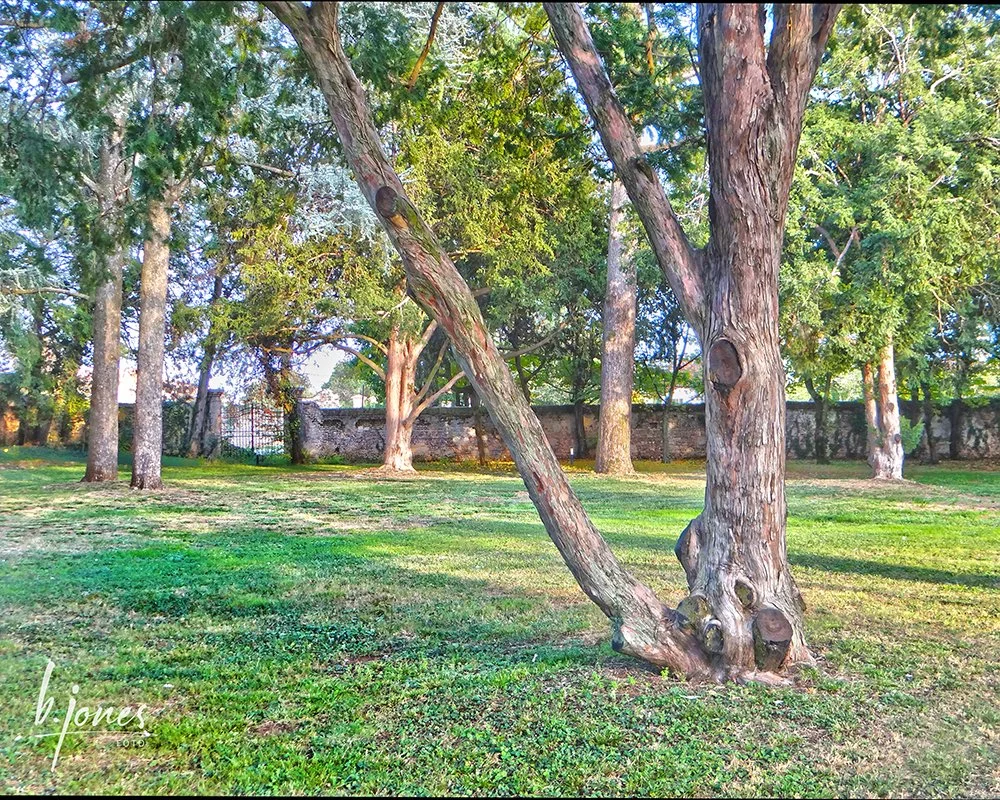 Rightside Gatewall.jpg