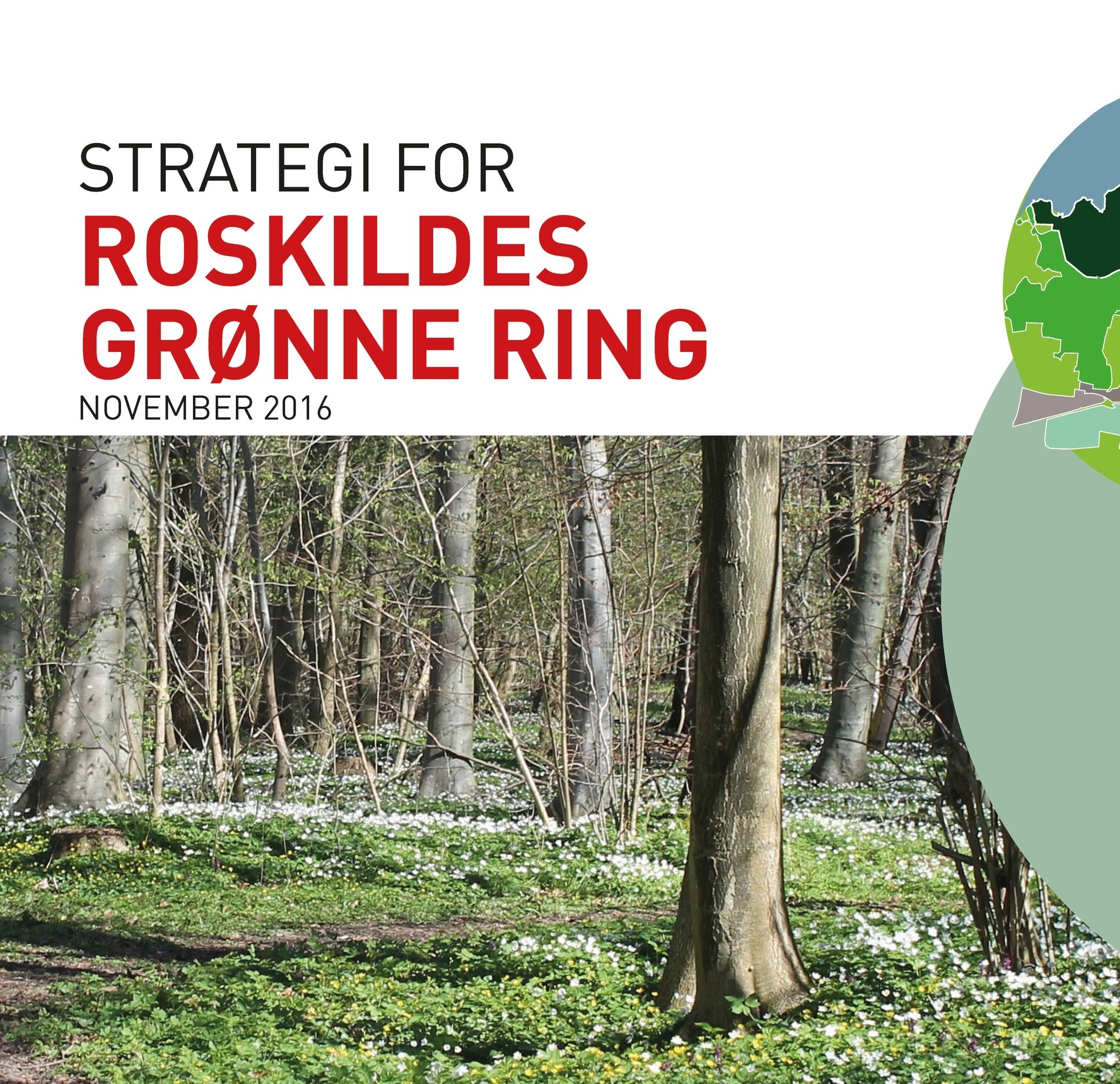 Strategi_for_Roskildes_Groenne_Ring 1.jpg
