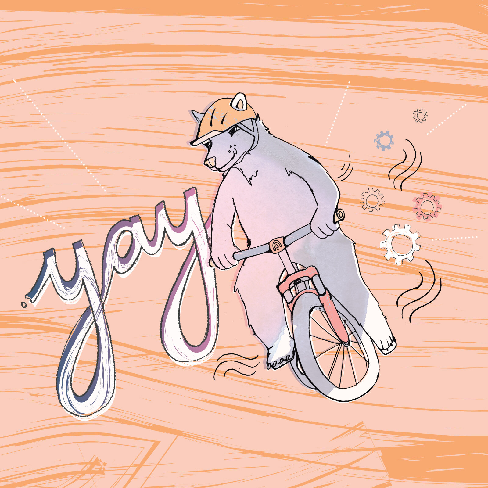 Yay Bikes Placement