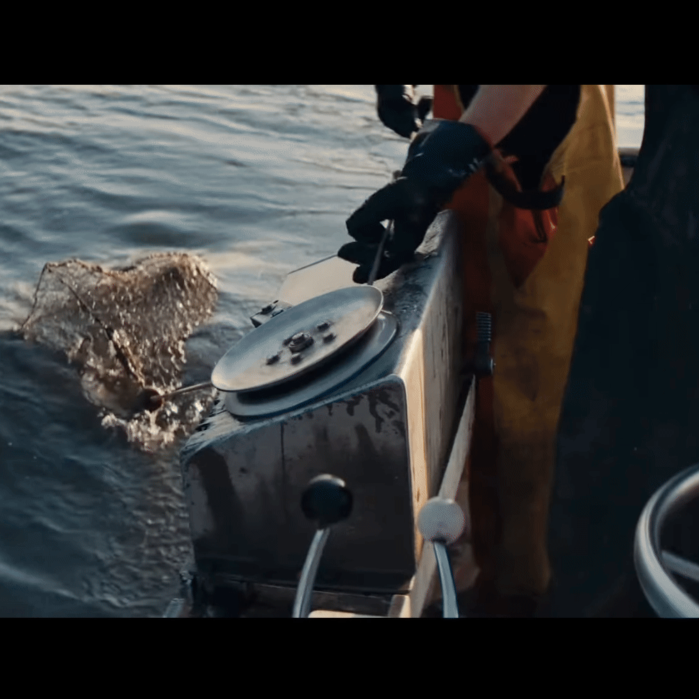 Screen Recording 2025-02-11 at 1.03.30 PM (3).gif