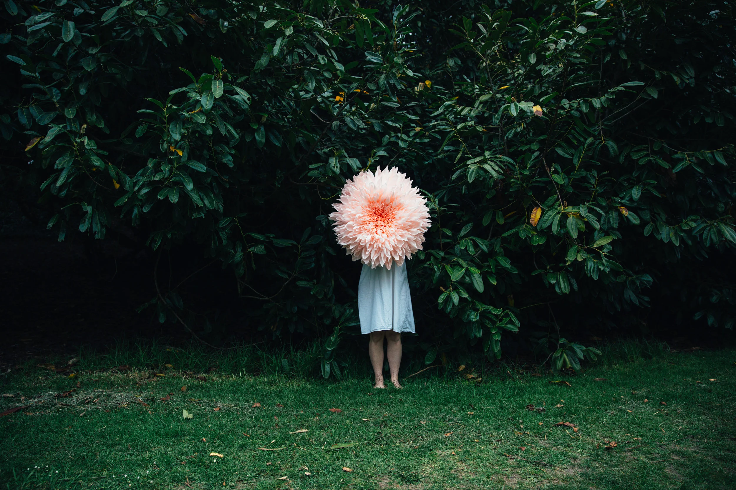 CreativePortrait24.jpg