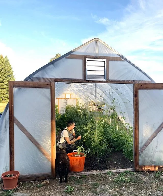 Having another photographer @freshtofarming on the farm means I actually get to be in some photos! We&rsquo;ve been starting work at 6am every day to get the majority of our work done (haha work on a farm is never really done) before it gets too hot.