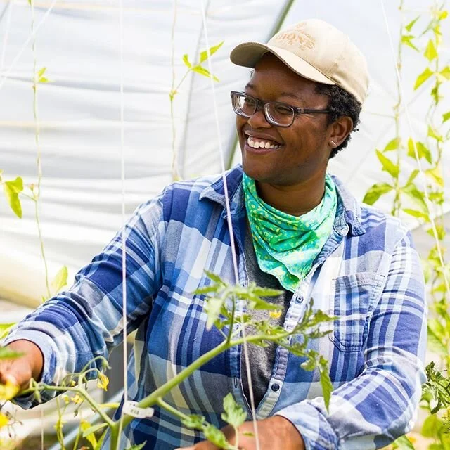 We have such an awesome farm crew this year and working with @freshtofarming everyday is delightful! I caught her in the hoop house the other day trellising tomorrow. Not only is she a very knowledgeable farmer, Kiley is also a talented photographer.