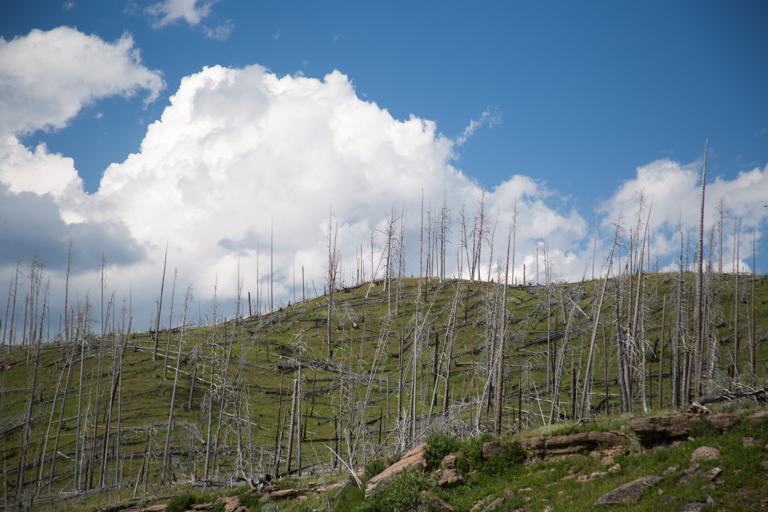 Wyoming-Day5-24.jpg