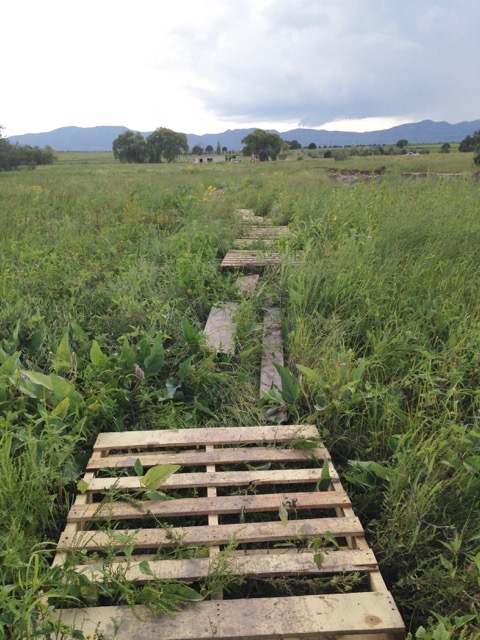Coca Cola bought pallets and created a new walking path for the children!