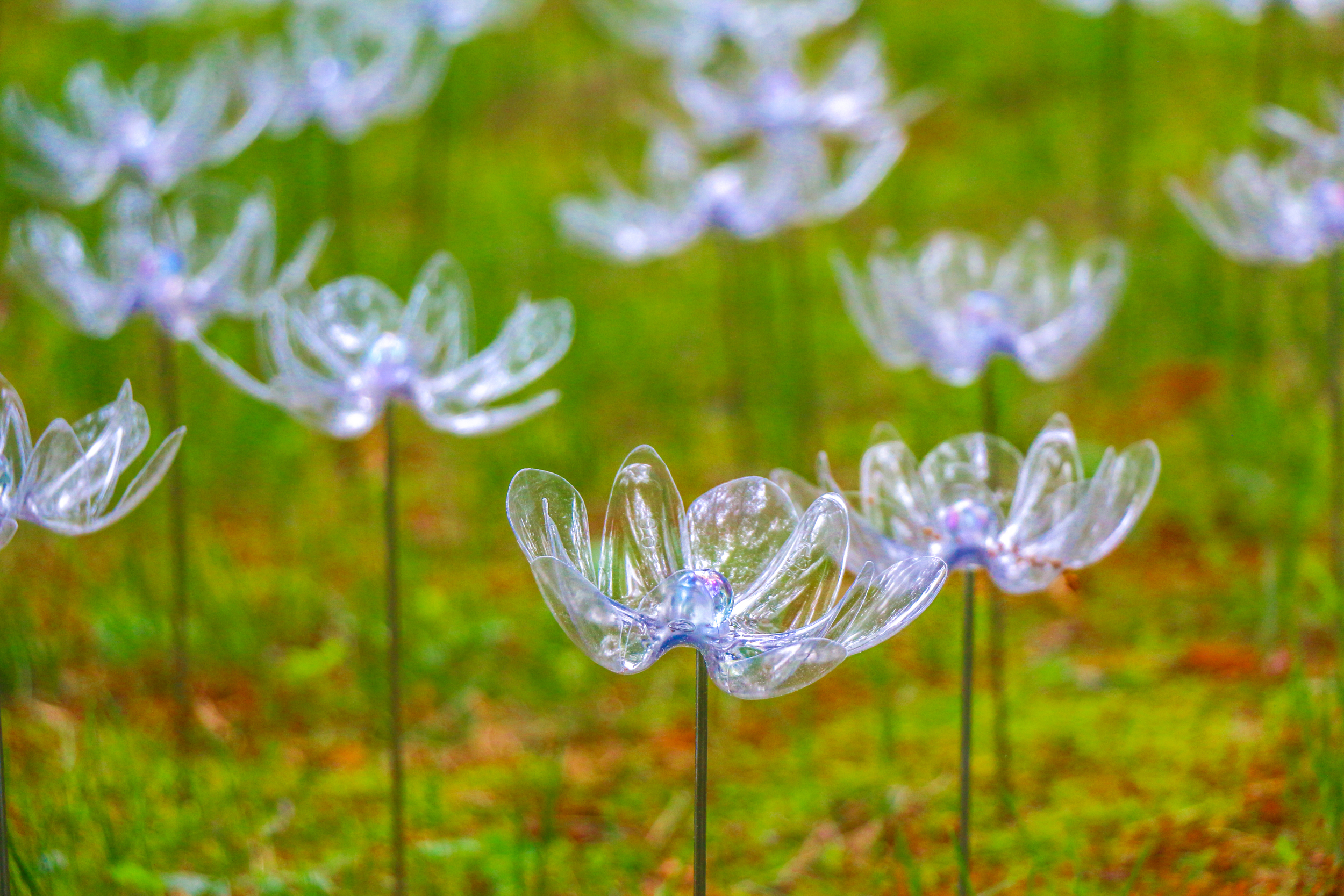 ELIZABETH MILLER MCCUE_FLOWERS 2.jpg
