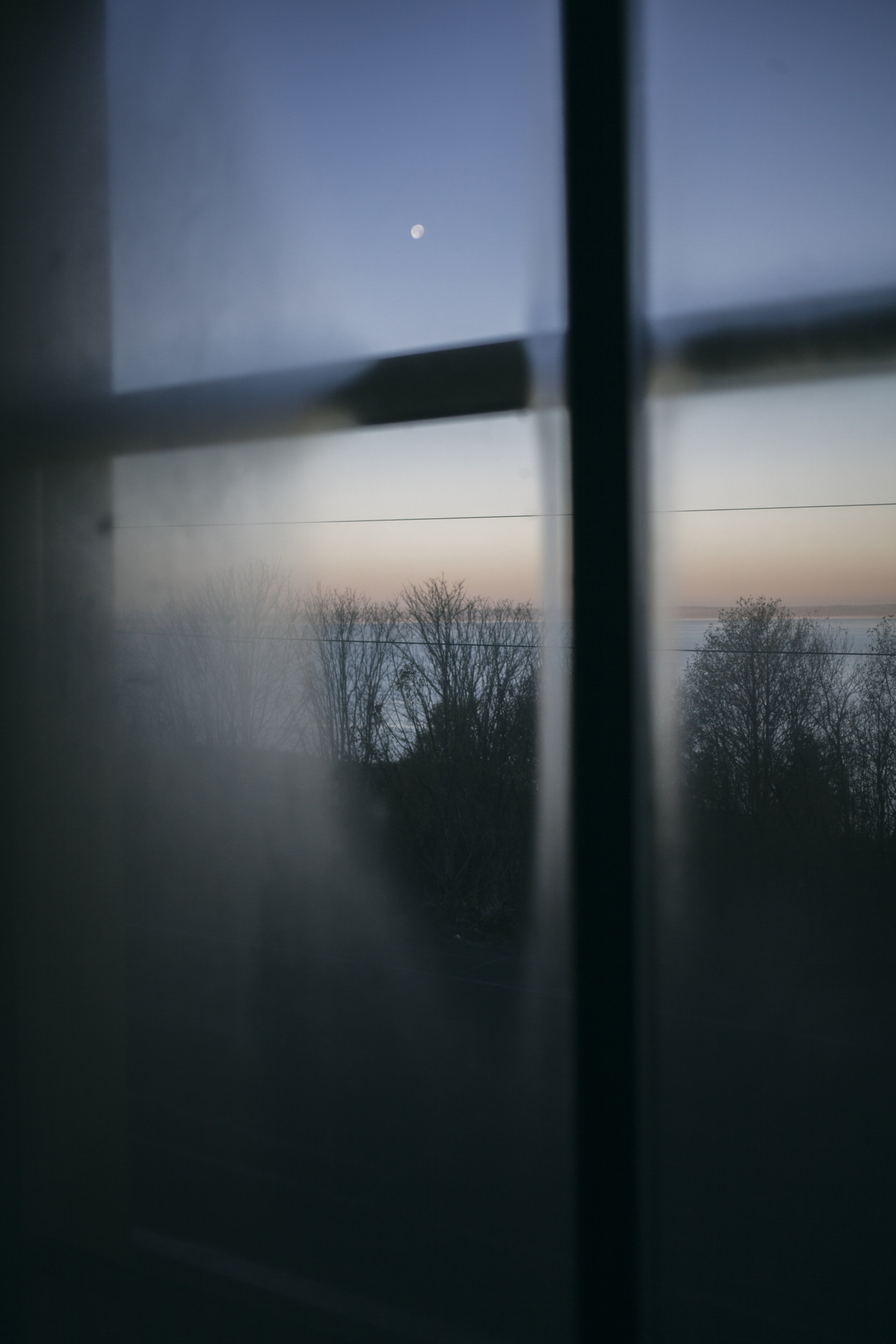 November Images-22.jpg