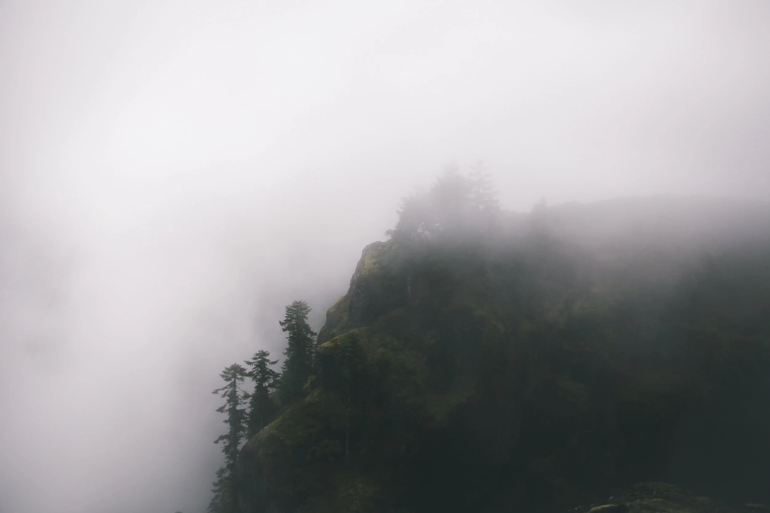 Updated Images-2.jpg