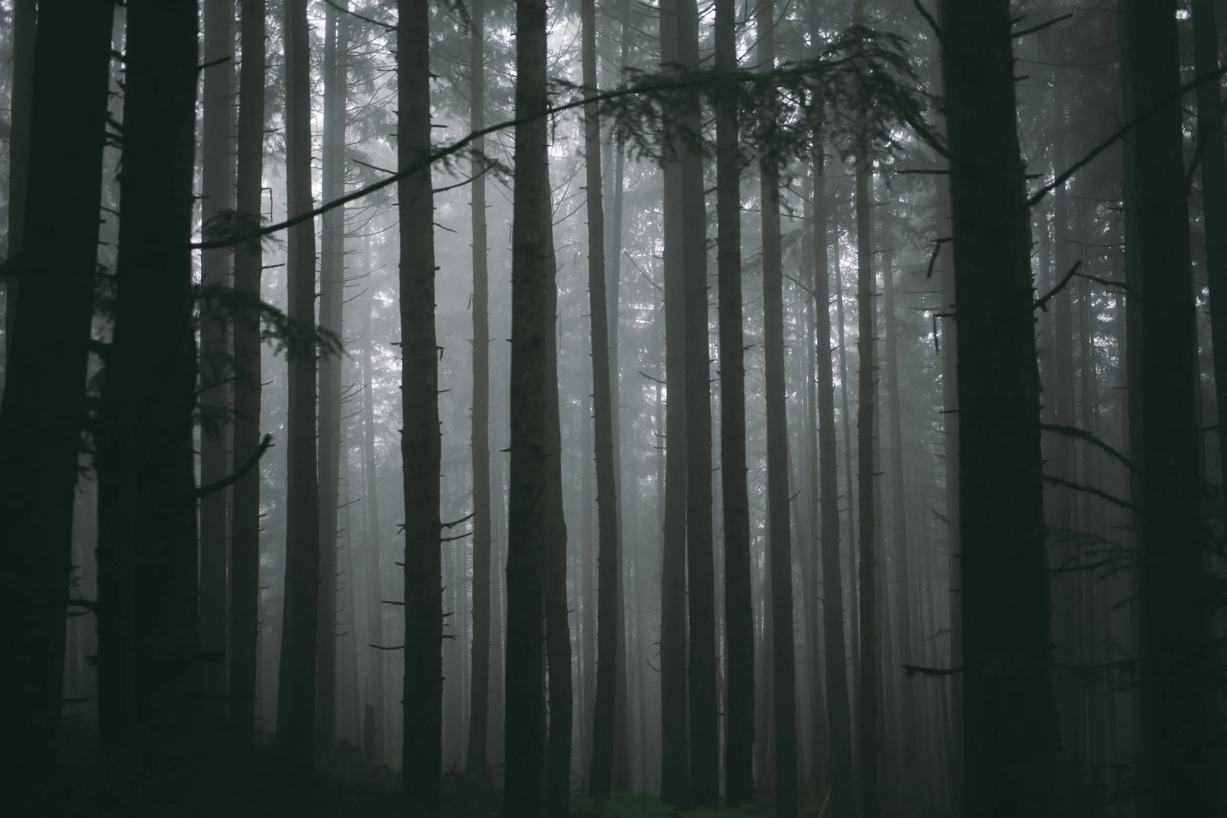 Updated Images-3.jpg