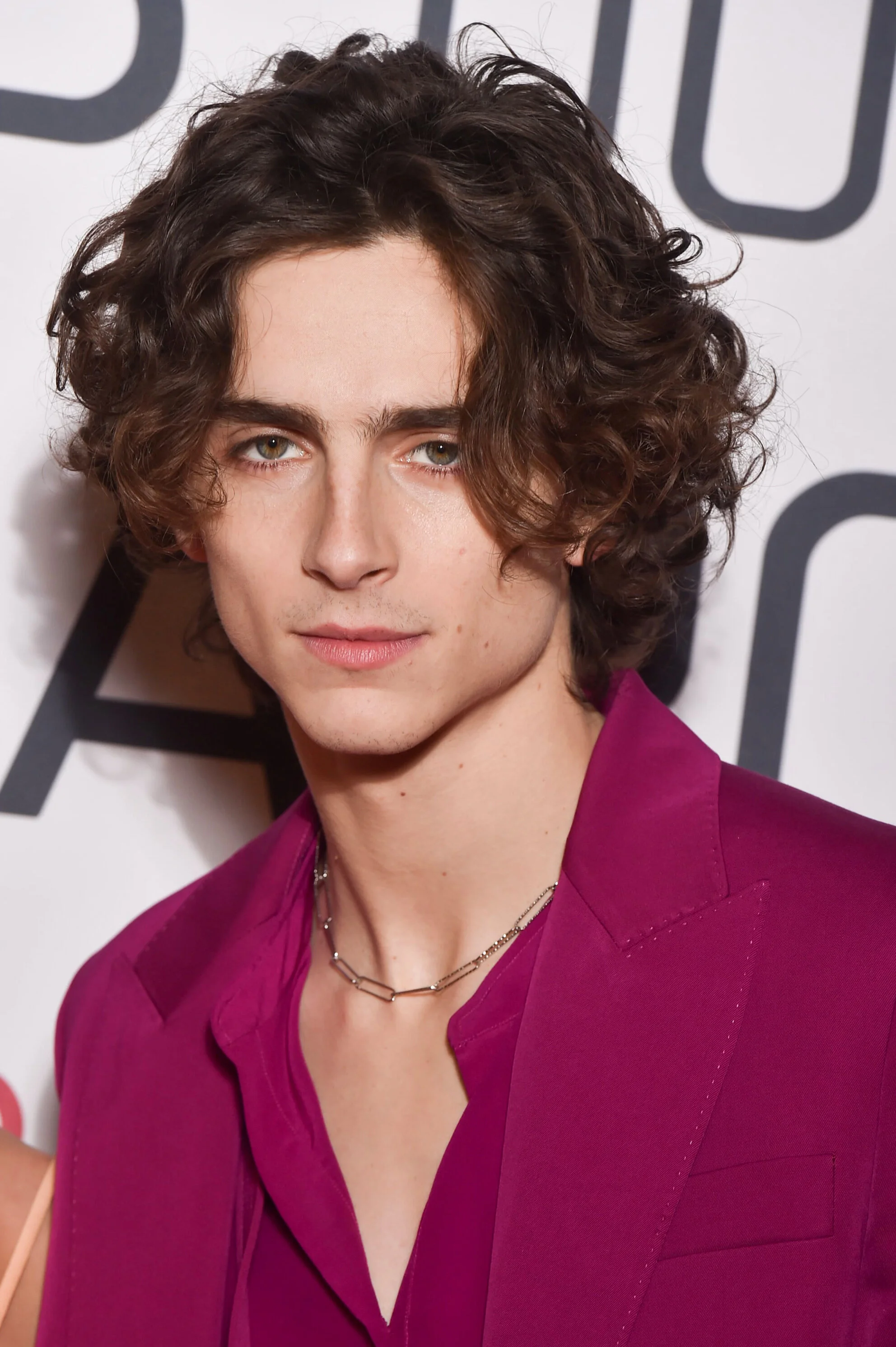 20191212_TCHALAMET_LITTLEWOMEN_JT_01.jpg