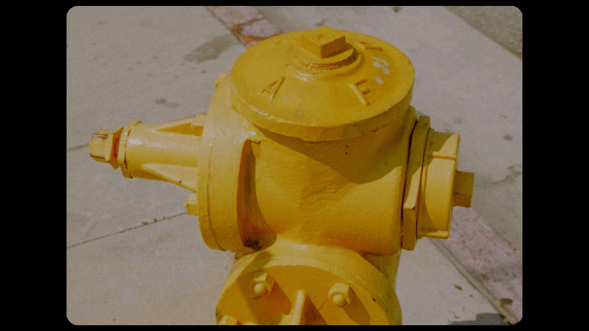 September Film.00_06_52_03.Still282.jpeg
