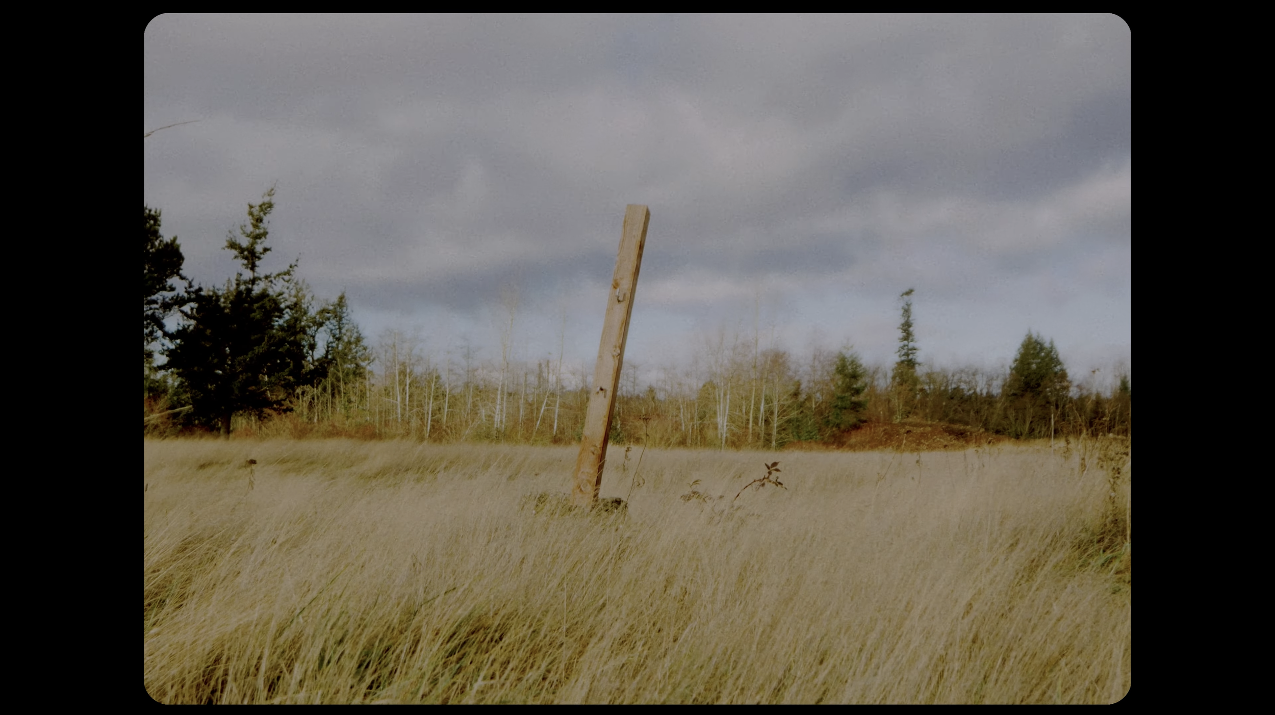 Screenshot 2026-03-23 at 11.44.47 AM.png