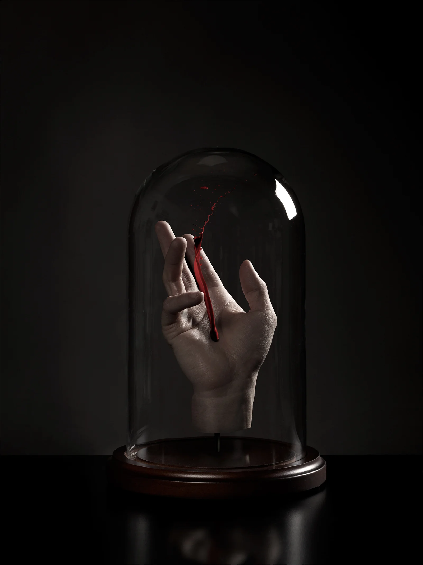 Curiosities II
