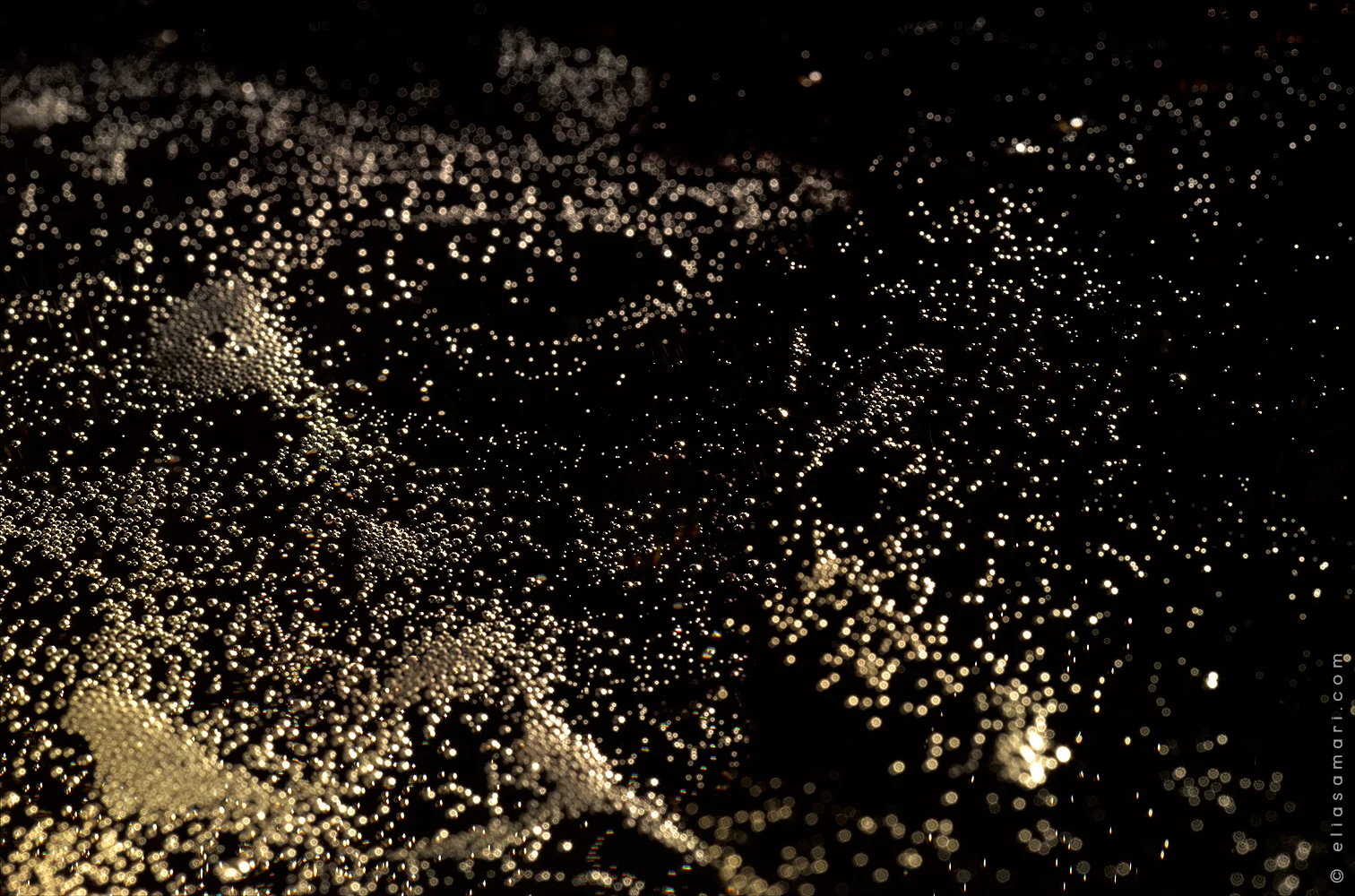 bubbles_champagne.jpg