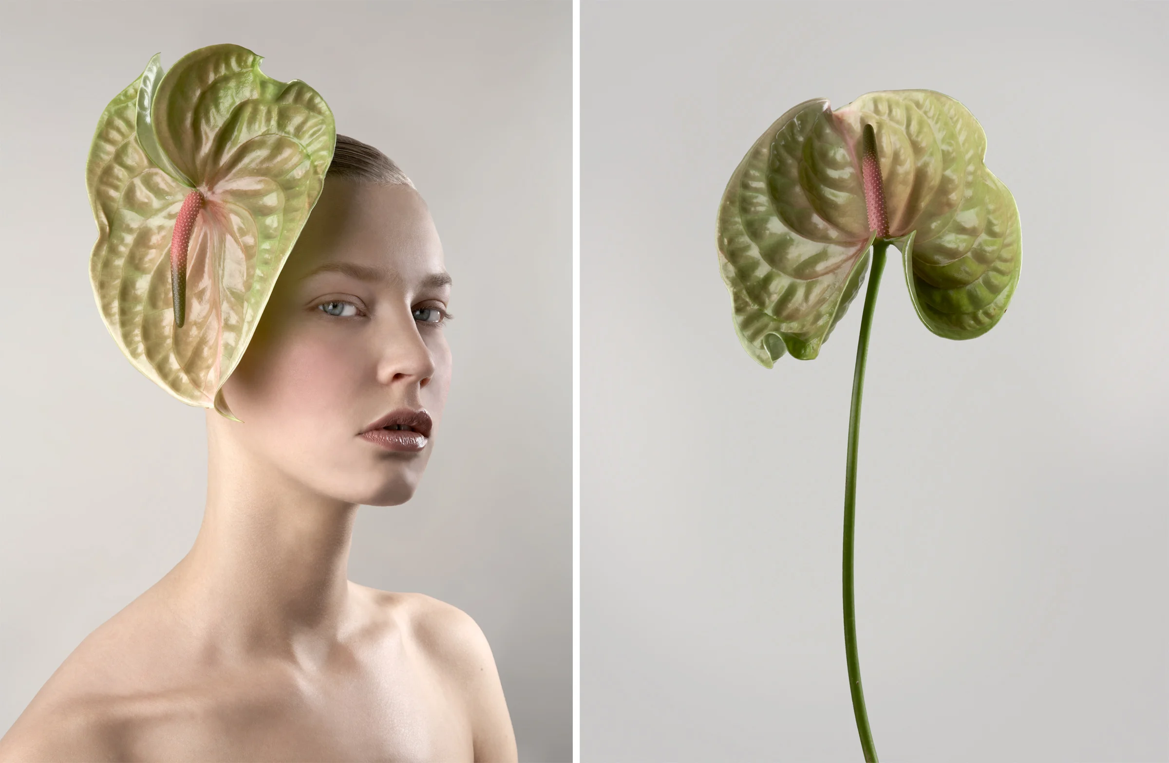flowers1.jpg