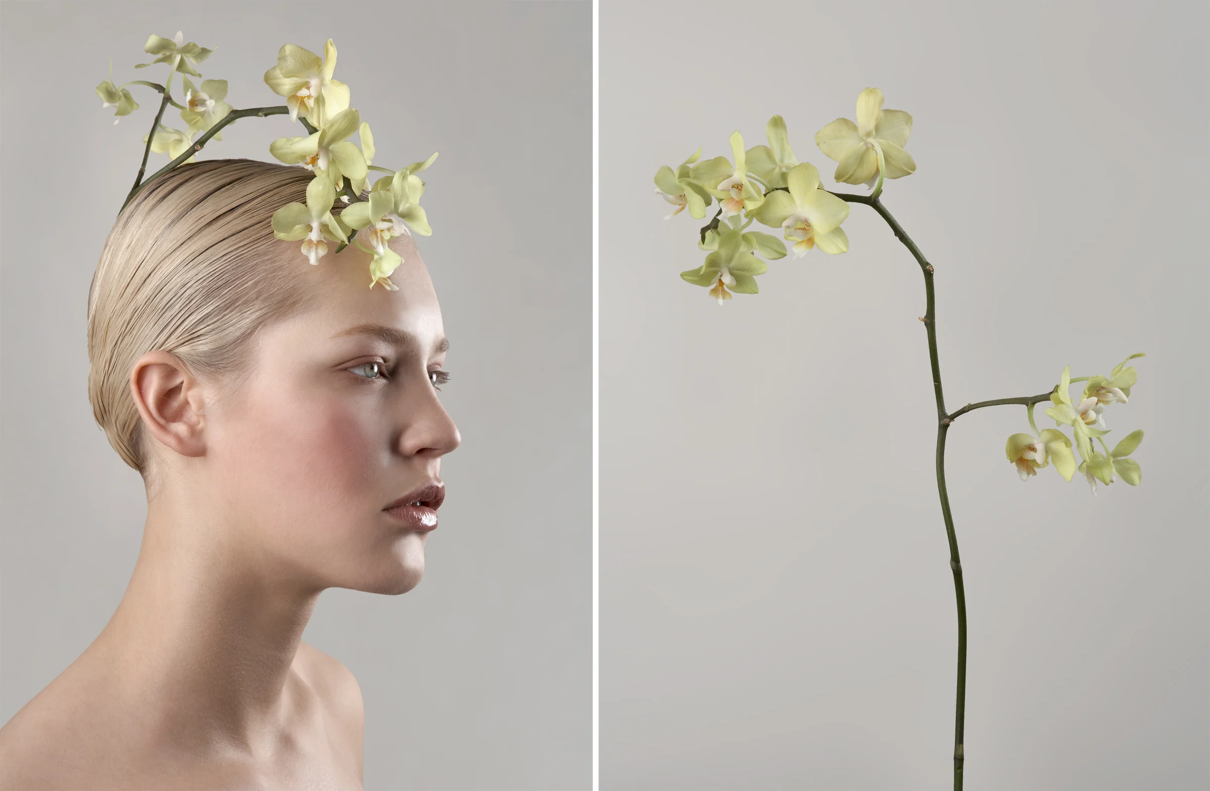 flowers2.jpg
