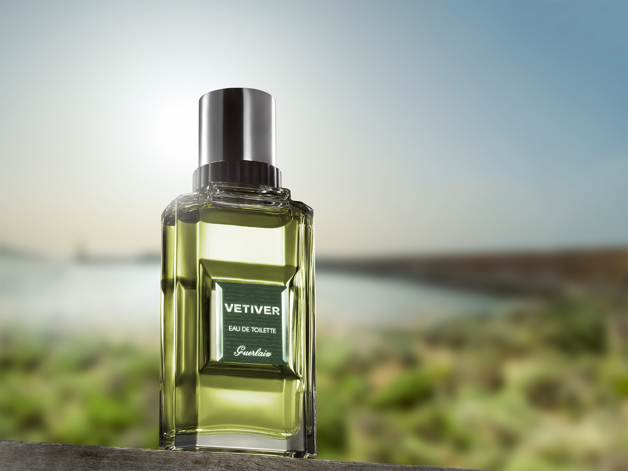 VETIVER_HERO_v3.jpg