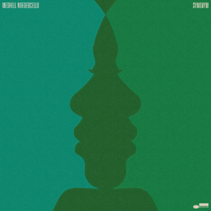 meshell ndegeocello.png