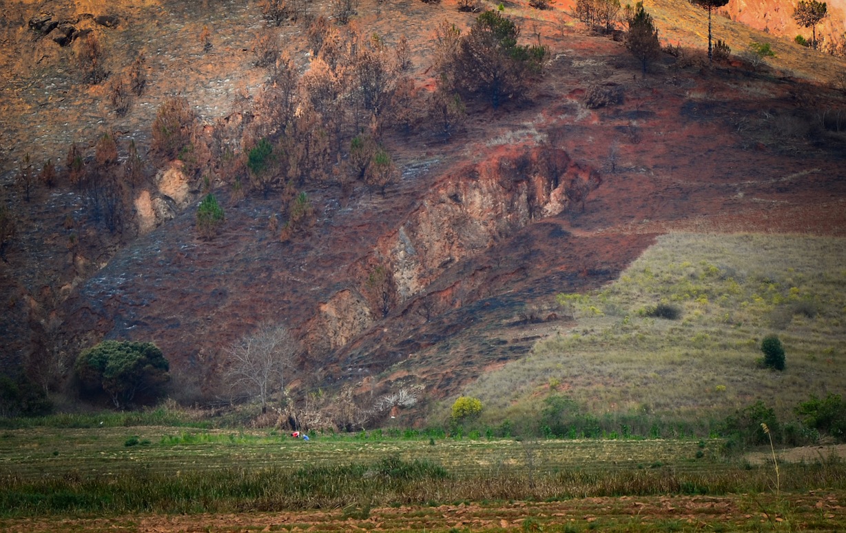 A scorched hillside (with an existing, older lavaka in the middle) from an intentional forest fire. Photo: Alizé Carrère