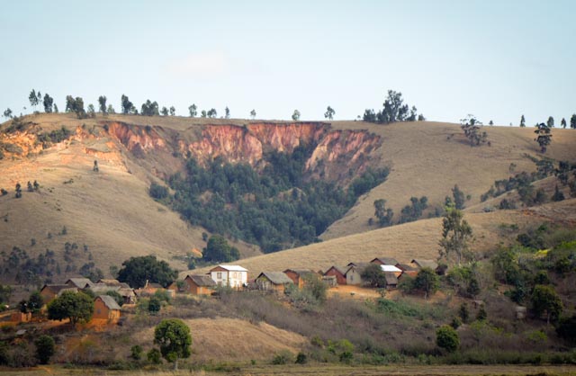 A largely stabilized, inactive lavaka above a homestead – colonized by both natural and farmer-planted tree growth processes. Photo: Alizé Carrère