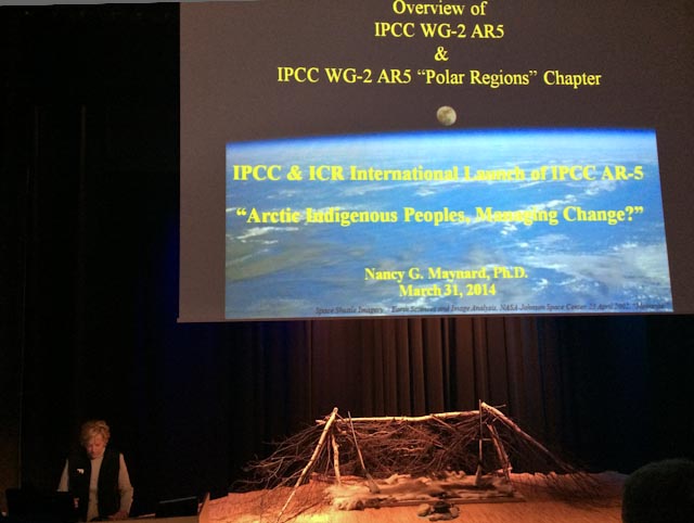Dr. Nancy Maynard, Lead Author of the Polar Regions Chapter, speaks at the IPCC & International Center for Reindeer Husbandry (ICR) Launch Event of IPCC WG2 AR-5 in Kautokeino. Photo: Alizé Carrère