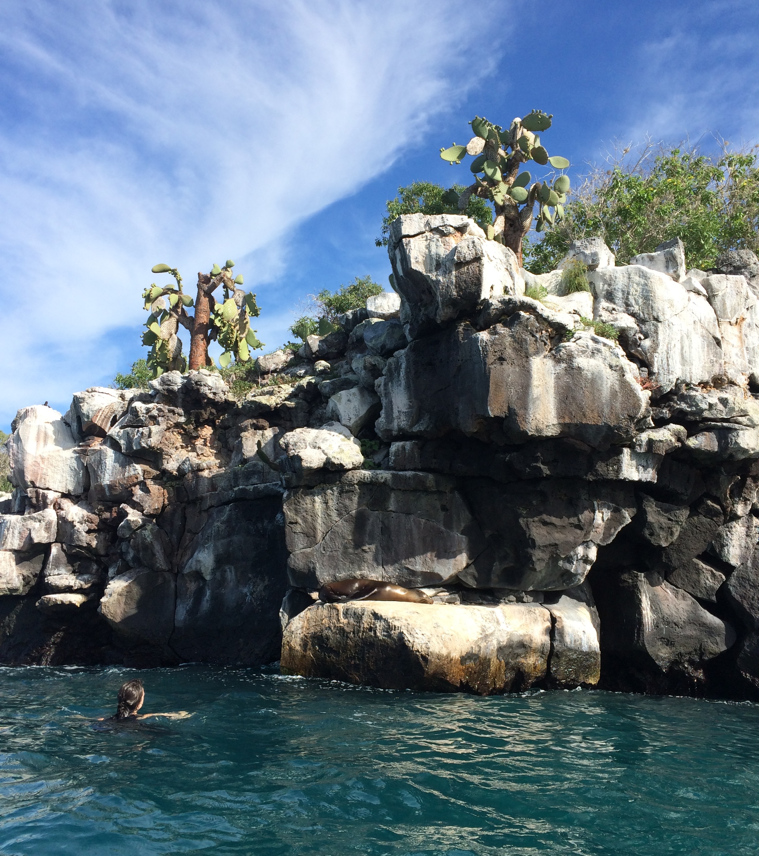 Snorkeling around the edges of the rocky islands offers up-close and personal interactions with sea lions, blue-footed boobies, and small schools of fish. (Photograph by Alizé Carrère)