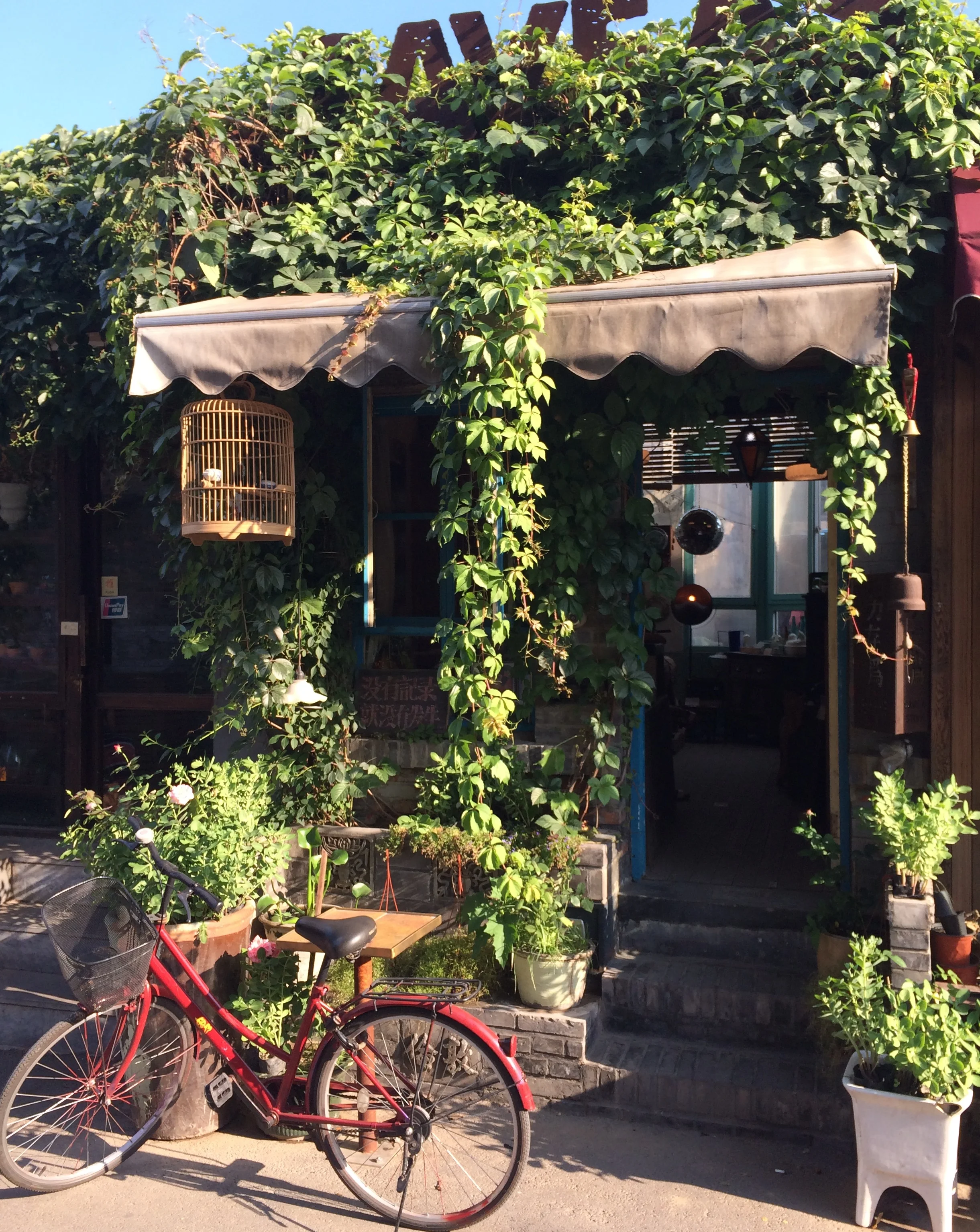 Biking through the hutongs, Beijing. Photo by Alizé Carrère