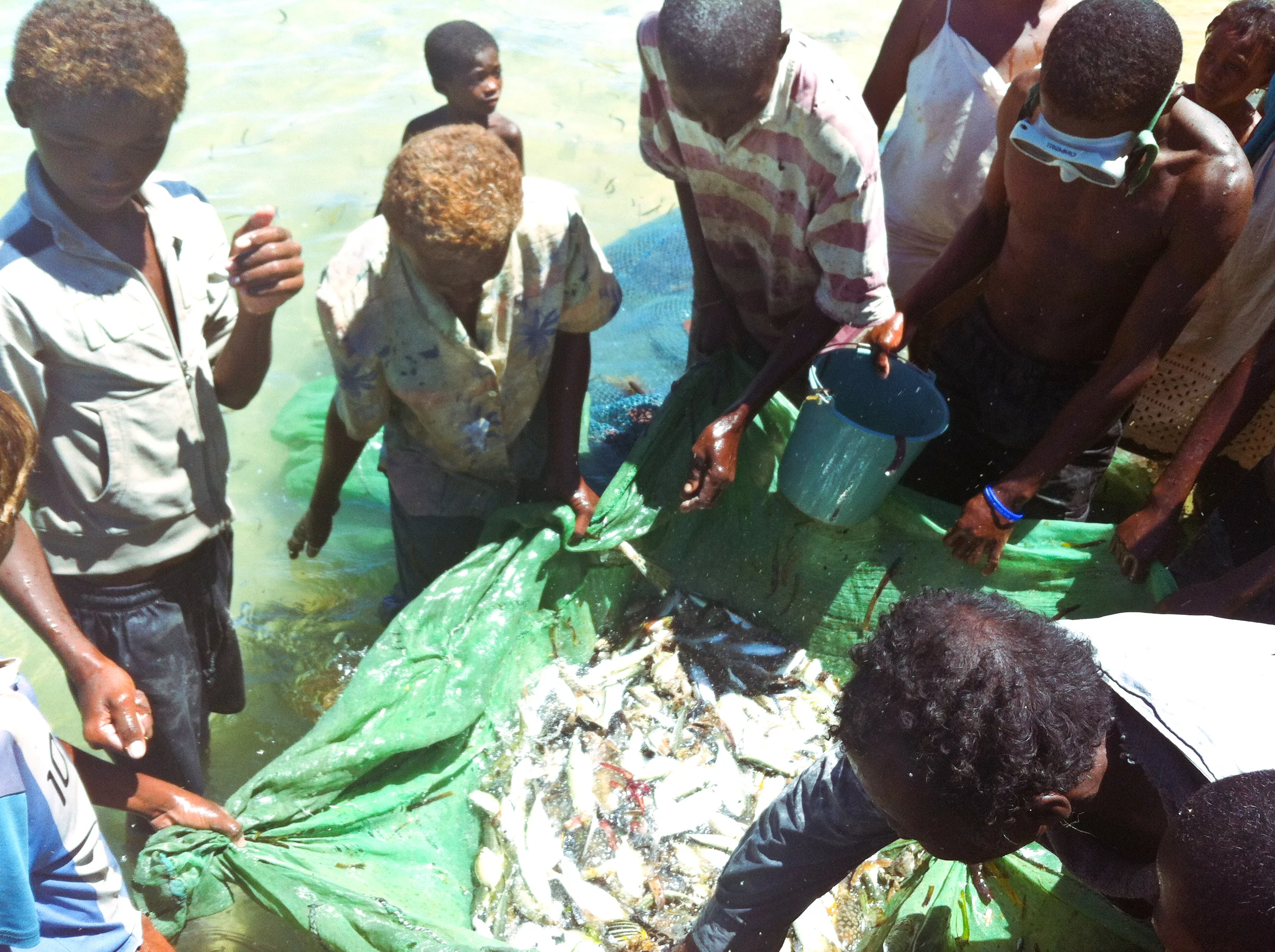 Crowds gathering around the day’s catch. Photo: Alizé Carrère