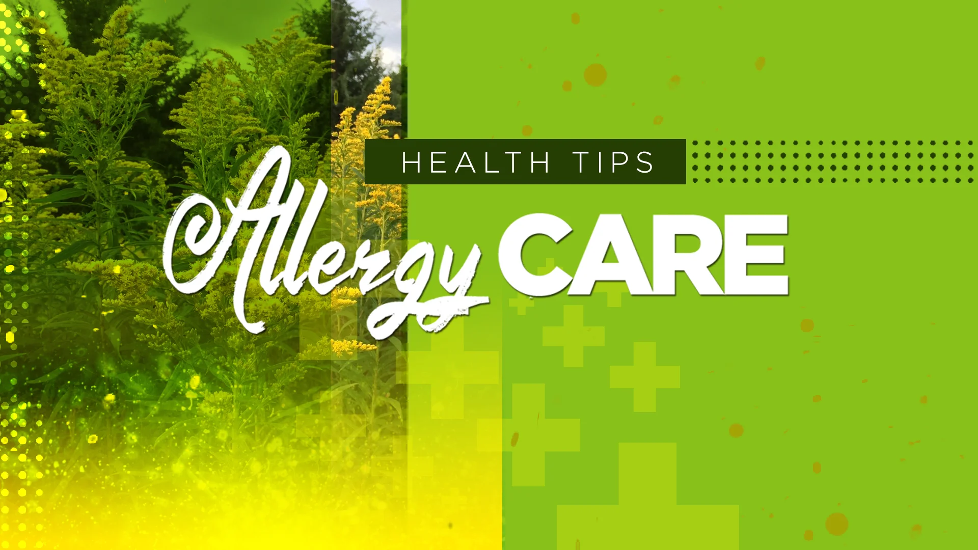 allergies_intro.jpg