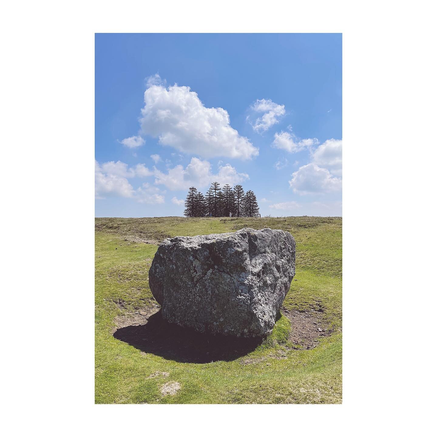 Between a rock and a monkey puzzle tree